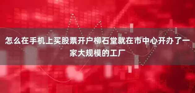 怎么在手机上买股票开户柳石堂就在市中心开办了一家大规模的工厂