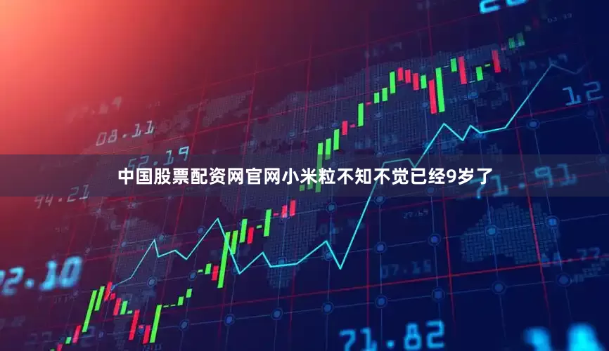 中国股票配资网官网小米粒不知不觉已经9岁了
