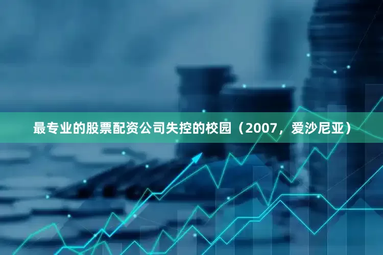 最专业的股票配资公司失控的校园（2007，爱沙尼亚）